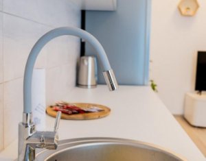 Apartament 2 camere , situat in Dambul Rotund