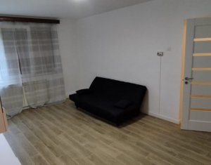 Apartament 2 camere la Parter in zona Garii , potential Booking, AirBnB