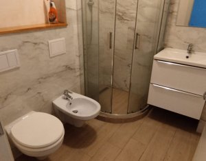 Apartament 2 camere la Parter in zona Garii , potential Booking, AirBnB