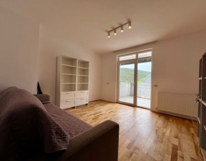 Apartament deosebit, Valea Garboului, garaj inclus