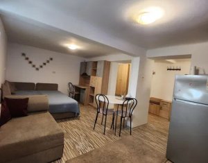 Apartament 1 camera modern, central, Horea