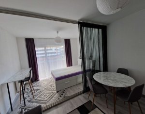 Apartament cu 1 camera in Buna Ziua, priveliște frumoasă