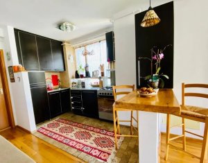 Apartament 2 camere Plopilor vechi