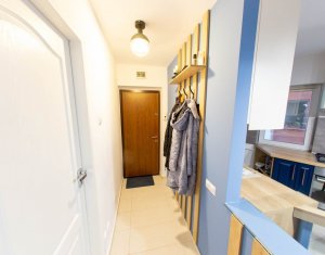 Apartament cu 2 camere si dressing in zona Brancusi - Borhanciului