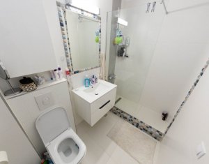 Apartament cu 2 camere si dressing in zona Brancusi - Borhanciului