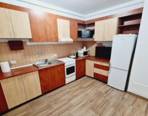 Apartament 1 camera, zona Brancusi