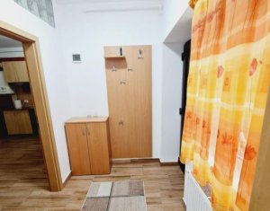 Apartament 1 camera, zona Brancusi