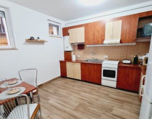 Apartament 1 camera, zona Brancusi