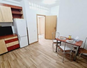Apartament 1 camera, zona Brancusi