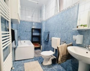 Apartament 1 camera, zona Brancusi