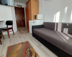 Apartment 1 rooms for sale in Cluj-napoca, zone Intre Lacuri