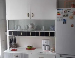 Apartament ultracentral zona 21 Decembrie