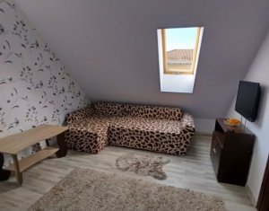 Apartament finisat si mobilat, 2 camere, strada Porii