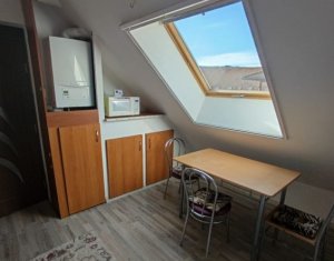 Apartament finisat si mobilat, 2 camere, strada Porii