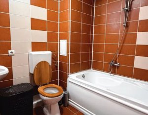 Apartament cu o camera, 45mp, Dambul Rotund