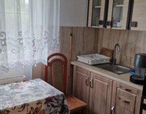 Apartament cu 1 camera, 42mp, parcare cu acces doar pentru riverani, Someseni