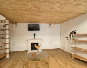 Appartement 1 chambres à vendre dans Cluj-napoca, zone Centru