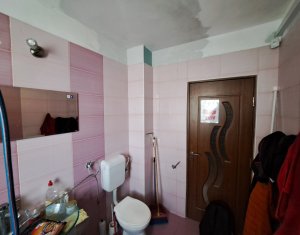 Apartament cu doua camere, terasa, Floresti