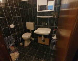 4 camere, Manastur, Ion Mester