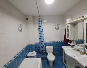 Apartament cu doua camere, mobilat si utilat, Floresti