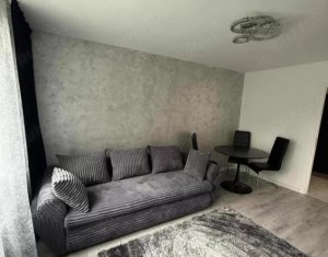 Apartament in Plopilor cu 2 camere, zona Platinia