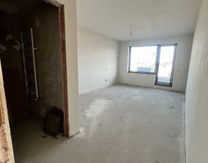 Penthouse 3 cam 114mp, 3 bai, terasa 57mp, Zorilor - Lidl Frunzisului 