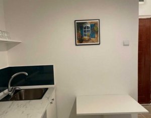 Ocazie!!! Garsoniera cu potential ridicat de investitie, Manastur