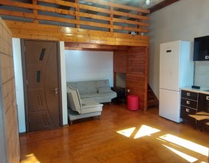 Appartement 1 chambres à vendre dans Cluj-napoca, zone Centru