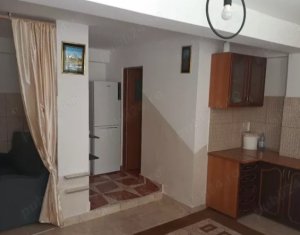 Apartment 1 rooms for sale in Cluj-napoca, zone Bulgaria