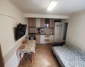 Vand apartament cu 1 camera, Marasti