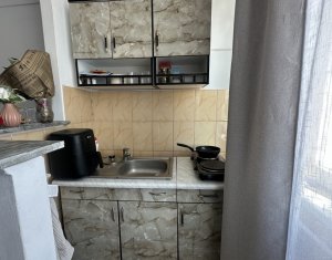 Appartement 1 chambres à vendre dans Cluj-napoca, zone Iris