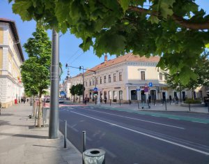 Apartament deosebit la casă - Ultracentral Cluj-Napoca - Zona Strada Ferdinand