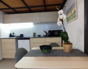 Apartament de vanzare Ultracentral, ideal investitie