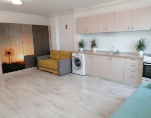 Apartament cu doua camere, mobilat, etaj intermediar, zona Teilor, Floresti