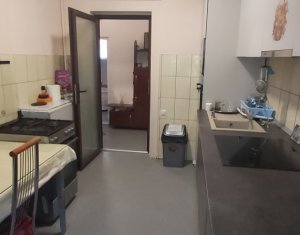 Vanzare apartament 2 camere, curte, gradina, Centru