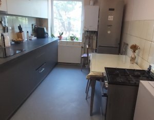 Vanzare apartament 2 camere, curte, gradina, Centru