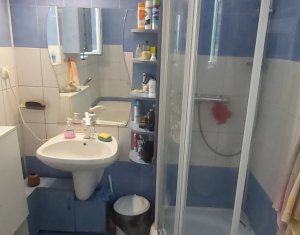 Vanzare apartament 2 camere, curte, gradina, Centru