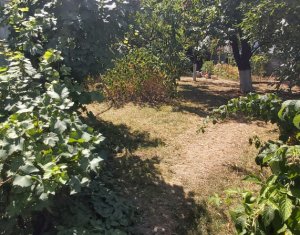 Vanzare apartament 2 camere, curte, gradina, Centru