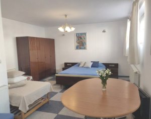 82 mp, DEMISOL 2 GARSONIERE SEPARATE, zona Petrom, Baciu