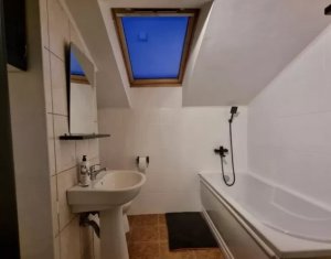 Apartament cu 1 camera spatios in Marasti, zona strazii Bucuresti